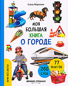 Minu suur raamat linnast