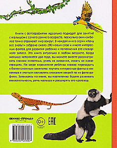 Моя большая книга о животных