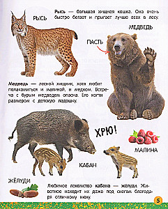 Моя большая книга о животных