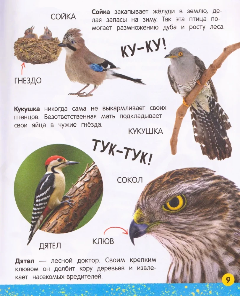 Моя большая книга о животных