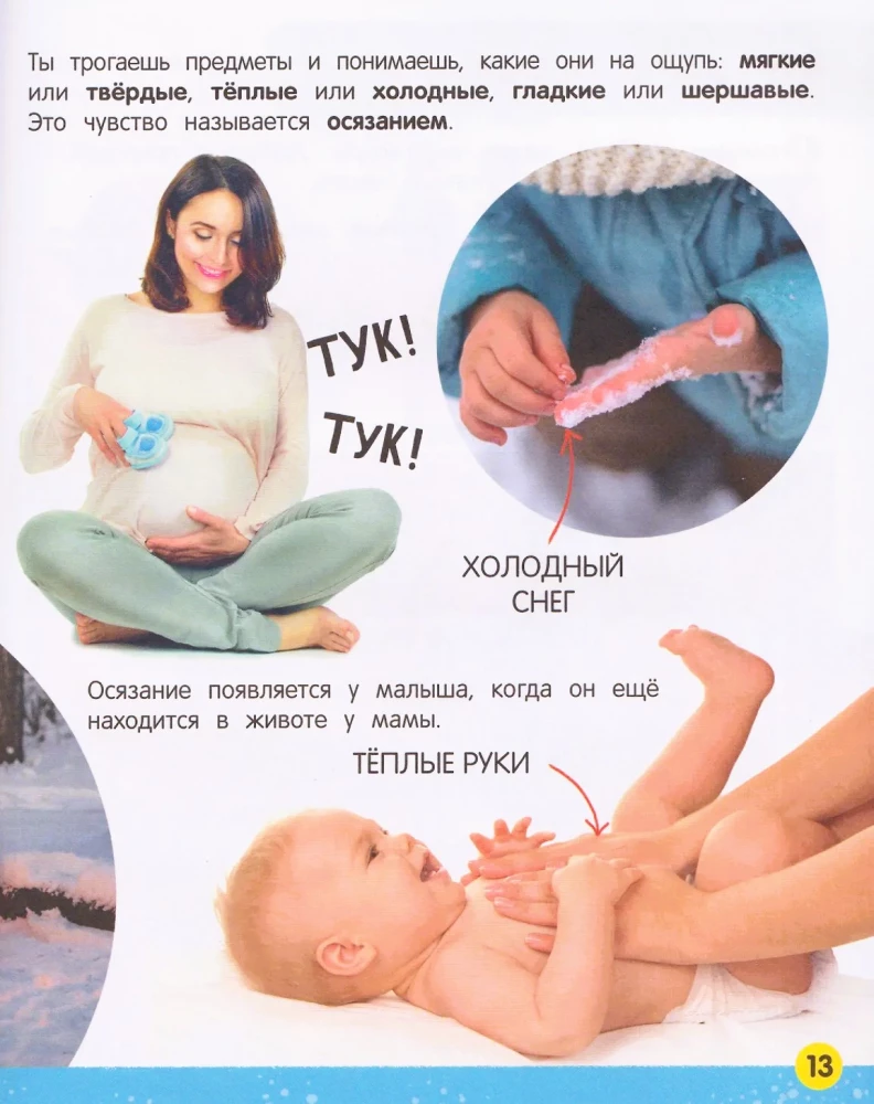 Minu suur raamat inimese kehast