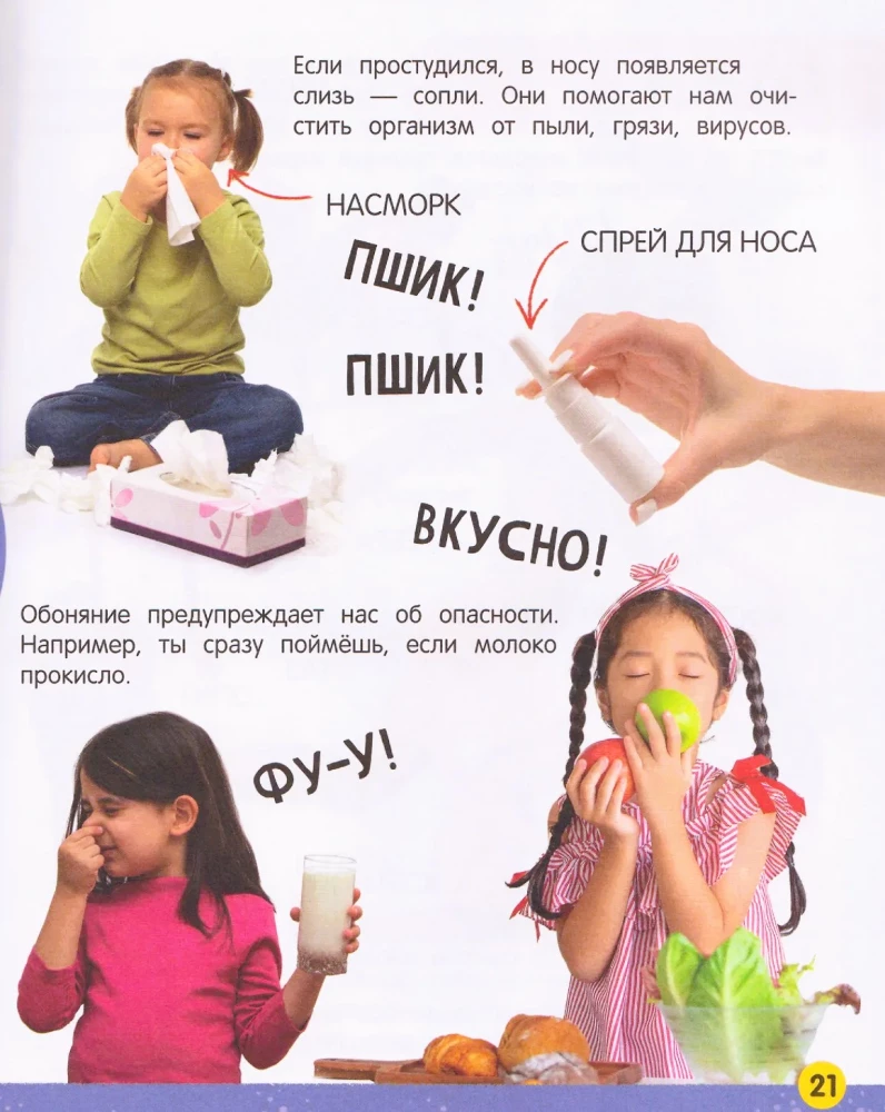 Minu suur raamat inimese kehast