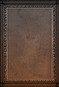 Gra planszowa - BattleCON. Upadek Indin
