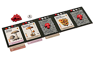 Настольная игра - Мицелий