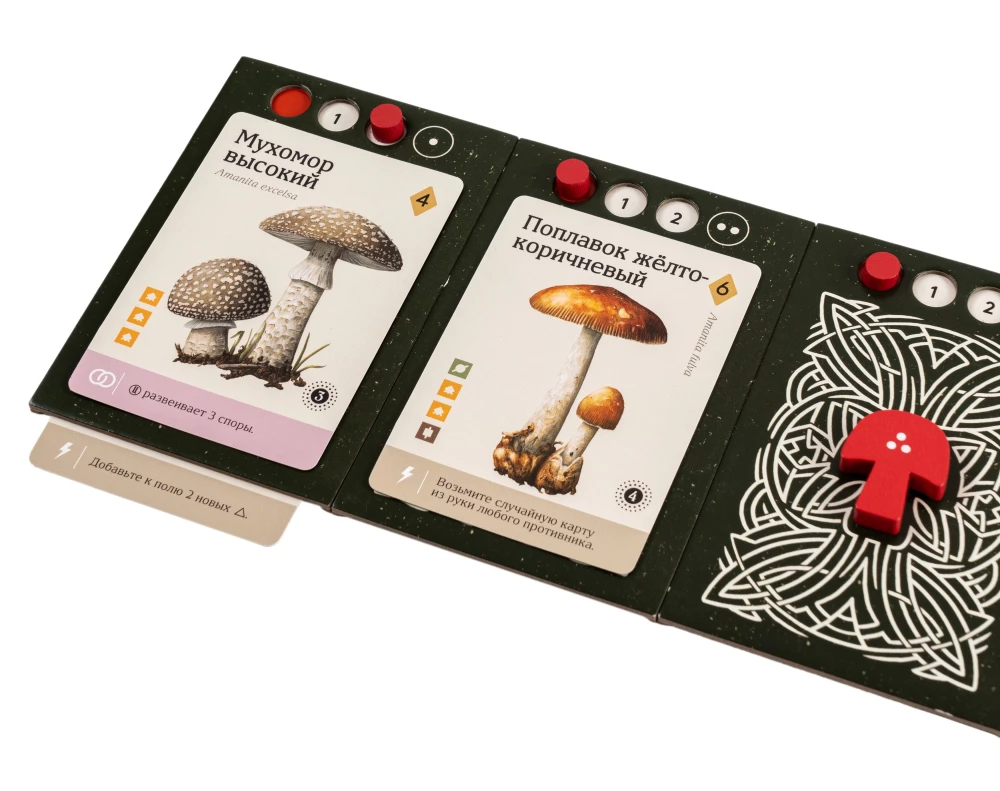 Настольная игра - Мицелий
