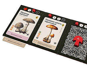 Настольная игра - Мицелий