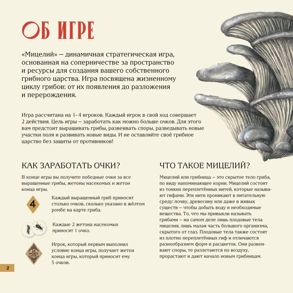 Настольная игра - Мицелий