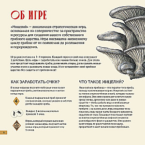 Настольная игра - Мицелий