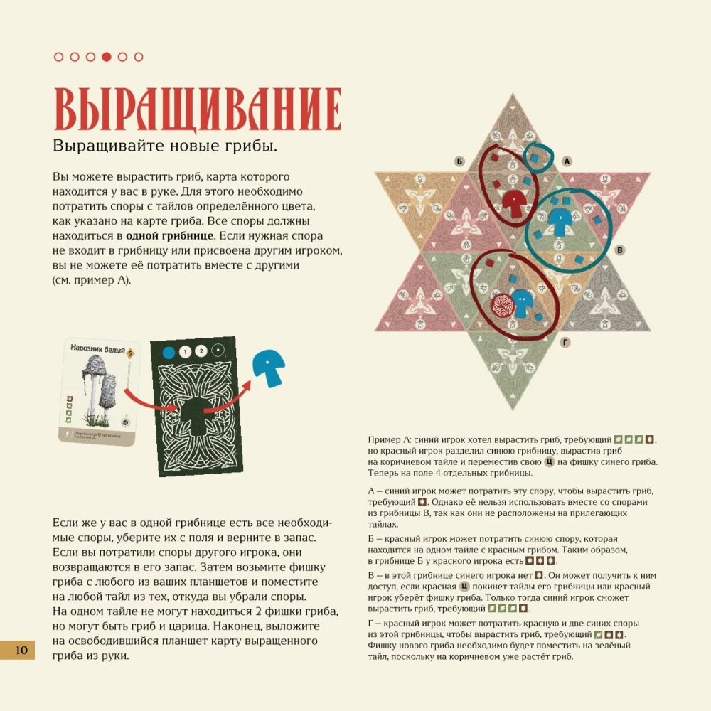 Настольная игра - Мицелий
