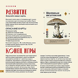 Настольная игра - Мицелий