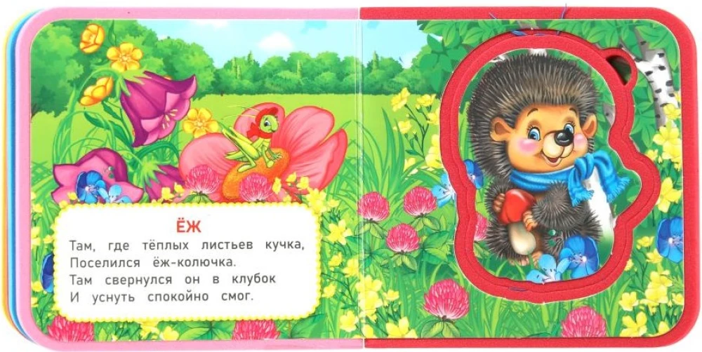 Кто где живёт