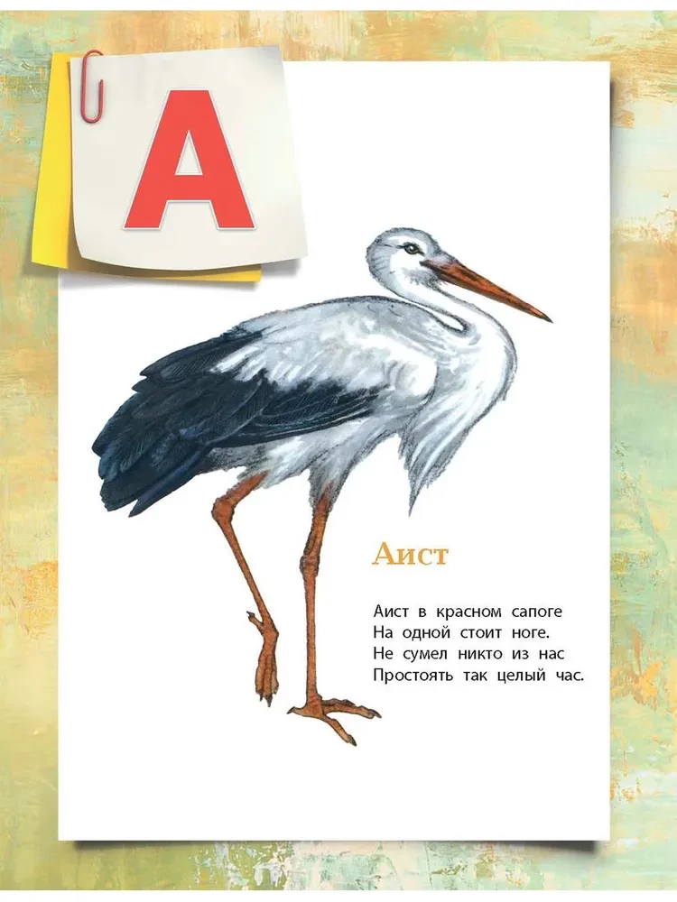 Alphabet in Pictures