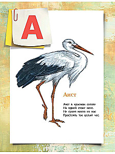 Alphabet in Pictures