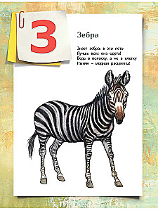 Alphabet in Pictures