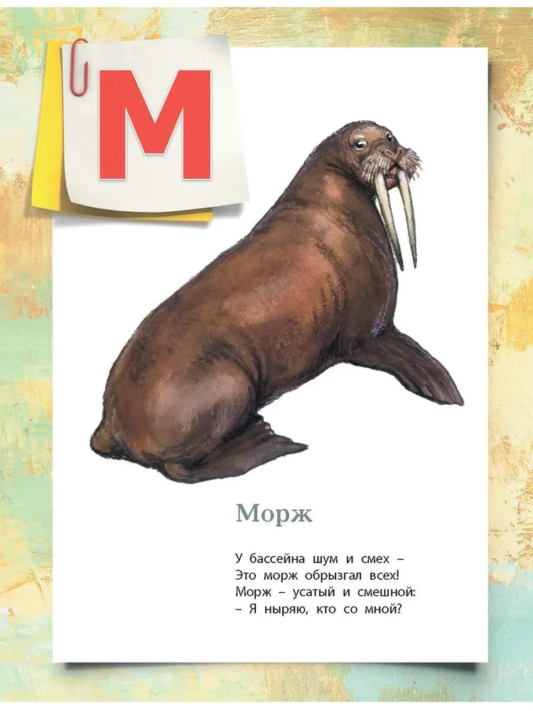 Alphabet in Pictures