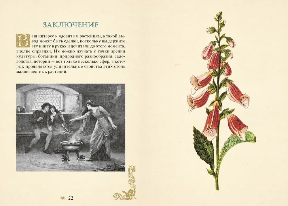 Poisonous Plants. The Secret Power of Plants