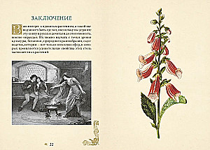 Poisonous Plants. The Secret Power of Plants