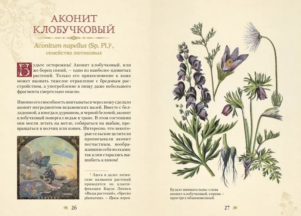 Poisonous Plants. The Secret Power of Plants