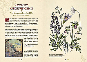 Poisonous Plants. The Secret Power of Plants