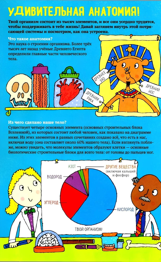 Der menschliche Körper. Enzyklopädie für Kinder