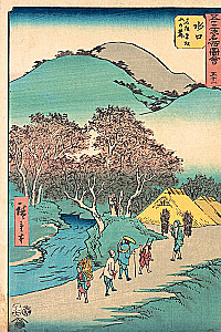 Lato. Haiku