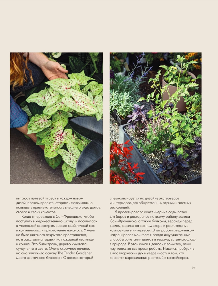 Konteinerių sodo magija. Gėlių dizainas terasoms, verandoms, balkonams, kiemams ir mažiems sodams