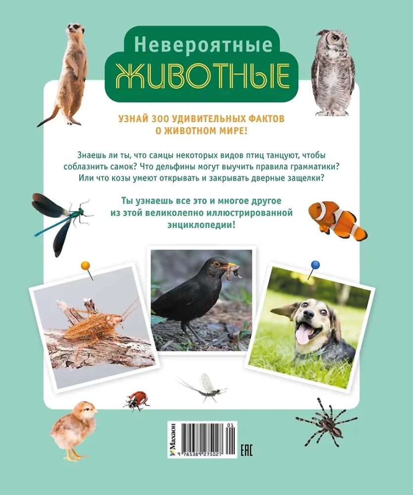 Incredible Animals