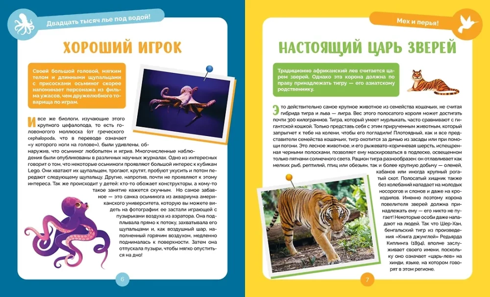Incredible Animals