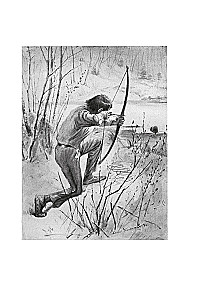 Rolf in the Woods. Forest Stories