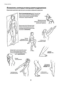 Anatomy of Movement: The Human Body