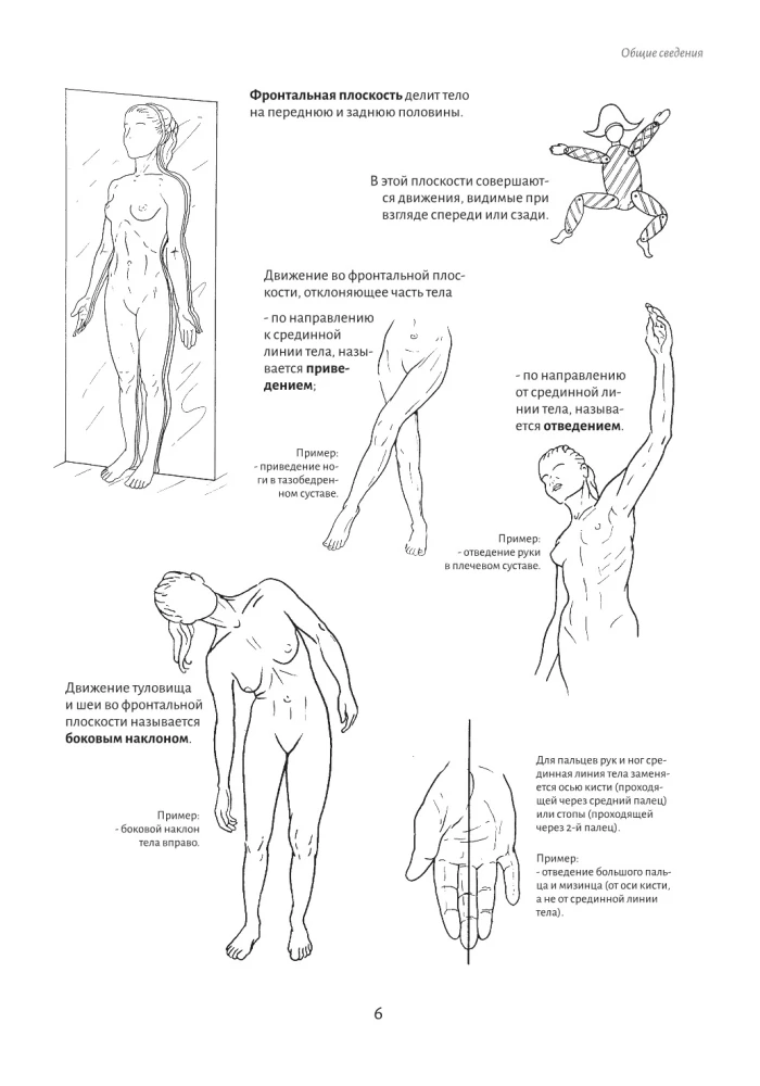 Anatomy of Movement: The Human Body