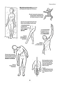 Anatomy of Movement: The Human Body
