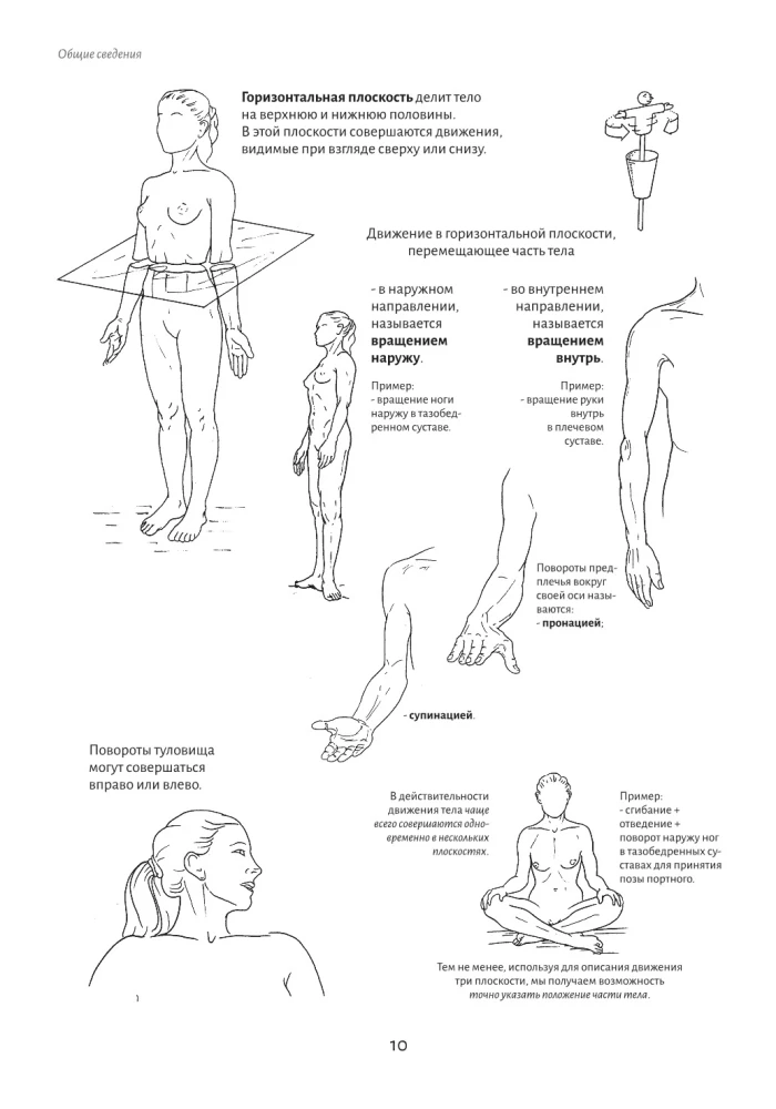 Anatomy of Movement: The Human Body