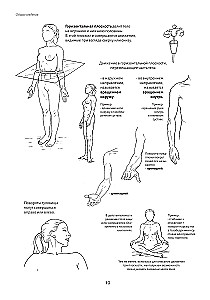 Anatomy of Movement: The Human Body