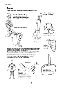 Anatomy of Movement: The Human Body