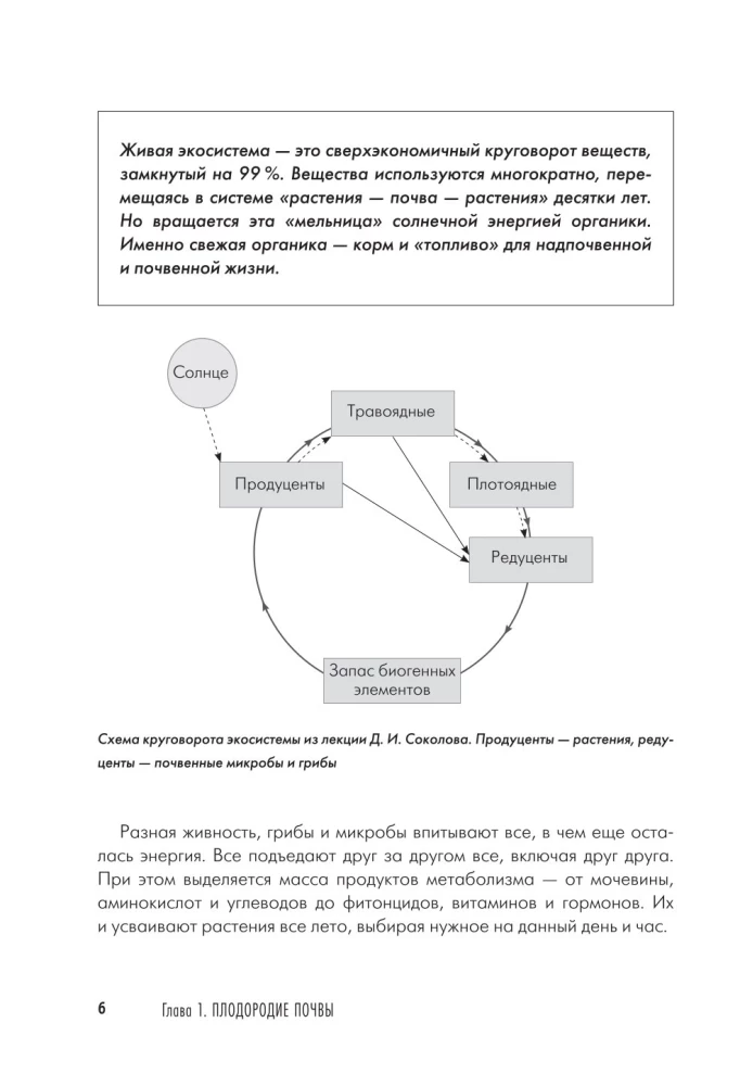 Дачная книга садовода и огородника