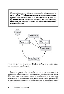 Дачная книга садовода и огородника