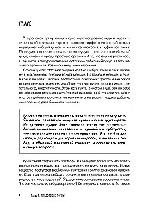 Дачная книга садовода и огородника