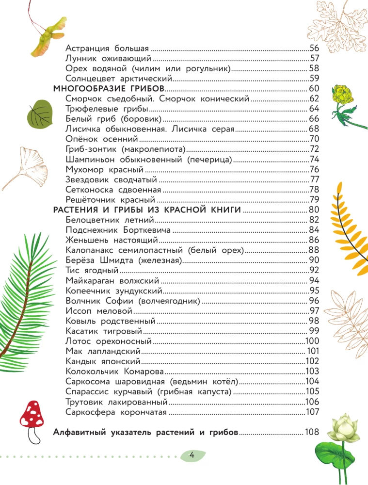 The World Around Us. Plants and Fungi