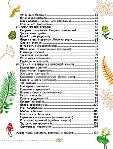 The World Around Us. Plants and Fungi
