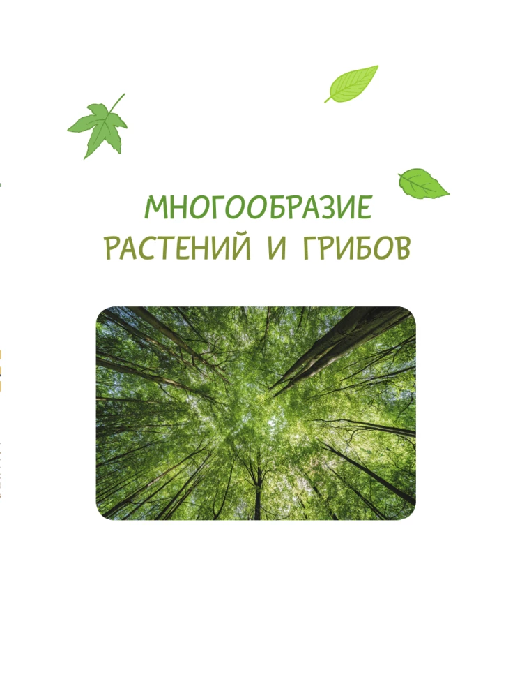The World Around Us. Plants and Fungi