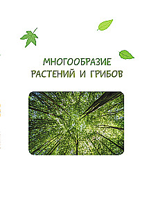 The World Around Us. Plants and Fungi