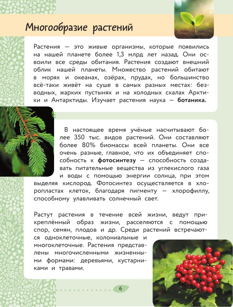 The World Around Us. Plants and Fungi
