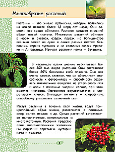 The World Around Us. Plants and Fungi