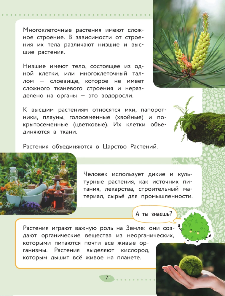 The World Around Us. Plants and Fungi