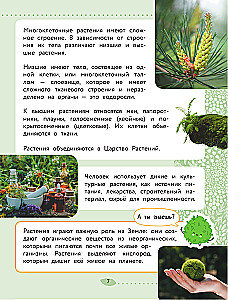 The World Around Us. Plants and Fungi