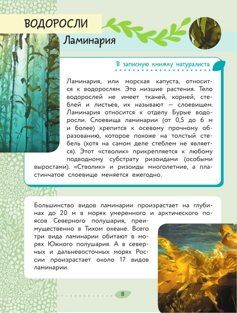 The World Around Us. Plants and Fungi