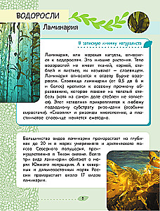 The World Around Us. Plants and Fungi