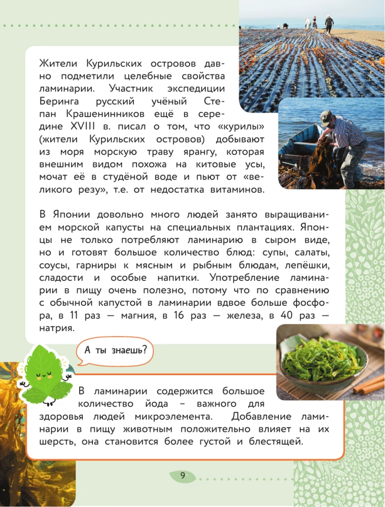 The World Around Us. Plants and Fungi