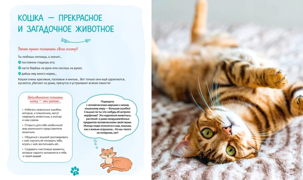 Es un un savu kaķi. Kā saprast mājdzīvnieku un kļūt par viņa draugu